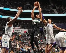 九游体育APP下载-魔兽世界德鲁伊形态外观